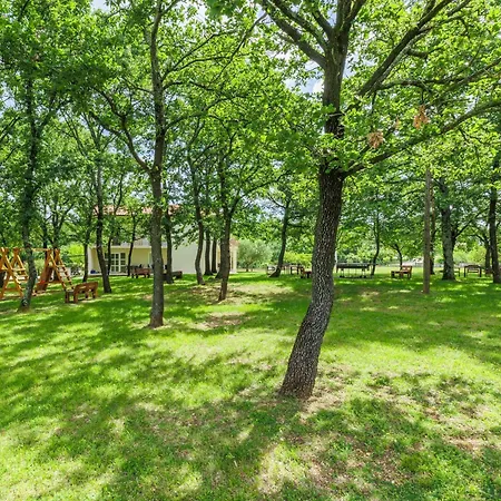 Macini-1 By Interhome Apartamento